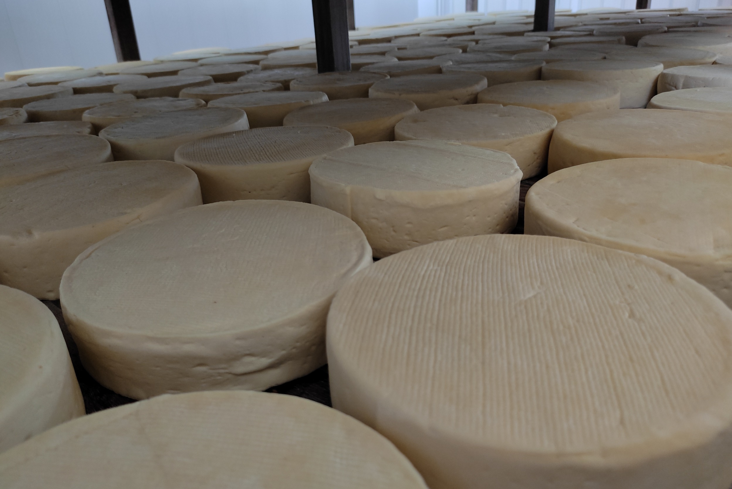 INSTITUTO LANÇOU CONSULTA PÚBLICA PARA COLETAR SUGESTÕES SOBRE O DOCUMENTO QUE ESTABELECE OS REQUISITOS PARA PRODUÇÃO E COMERCIALIZAÇÃO DE QUEIJOS ARTESANAIS NO ESTADO / Foto: Reprodução