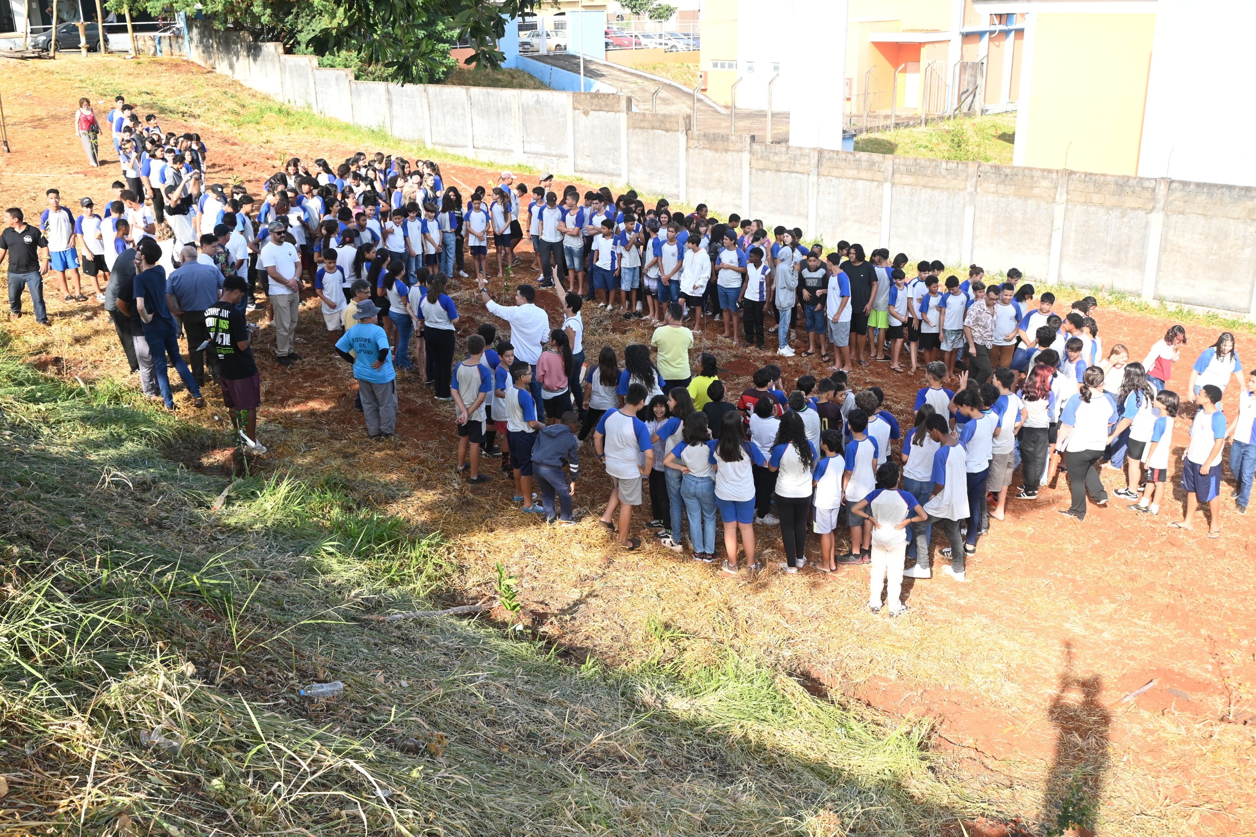 Local recebeu o plantio de mudas de mangueira, abacateiro, cajueiro, mexerica, goiabeira, ameixeira, jabuticabeira, limoeiro, pitangueira, acerola e cidra / Foto: Reprodução