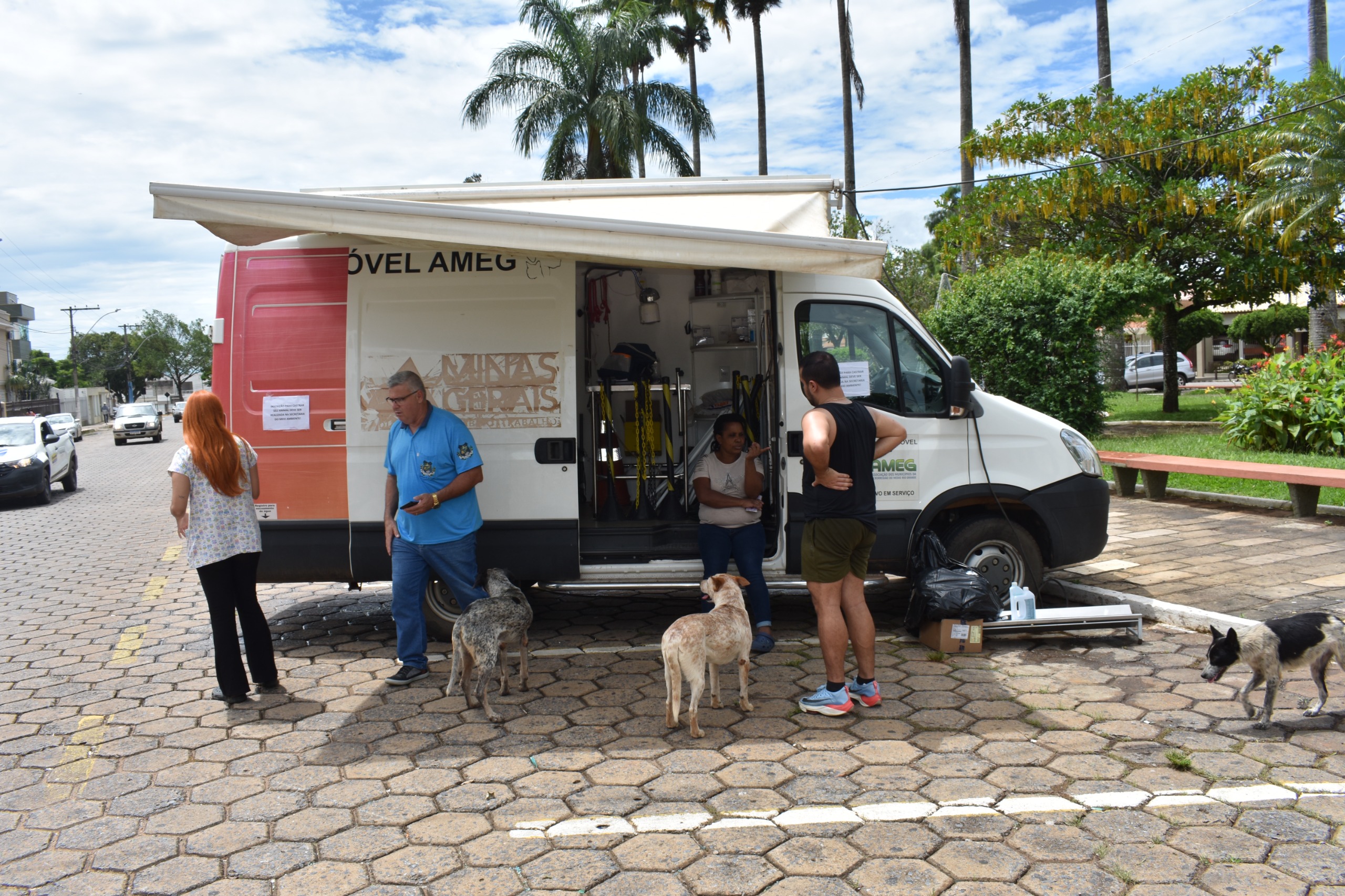 Castramóvel já realizou 1.154 castrações nas suas duas primeiras etapas em Passos / Foto: Divulgação 