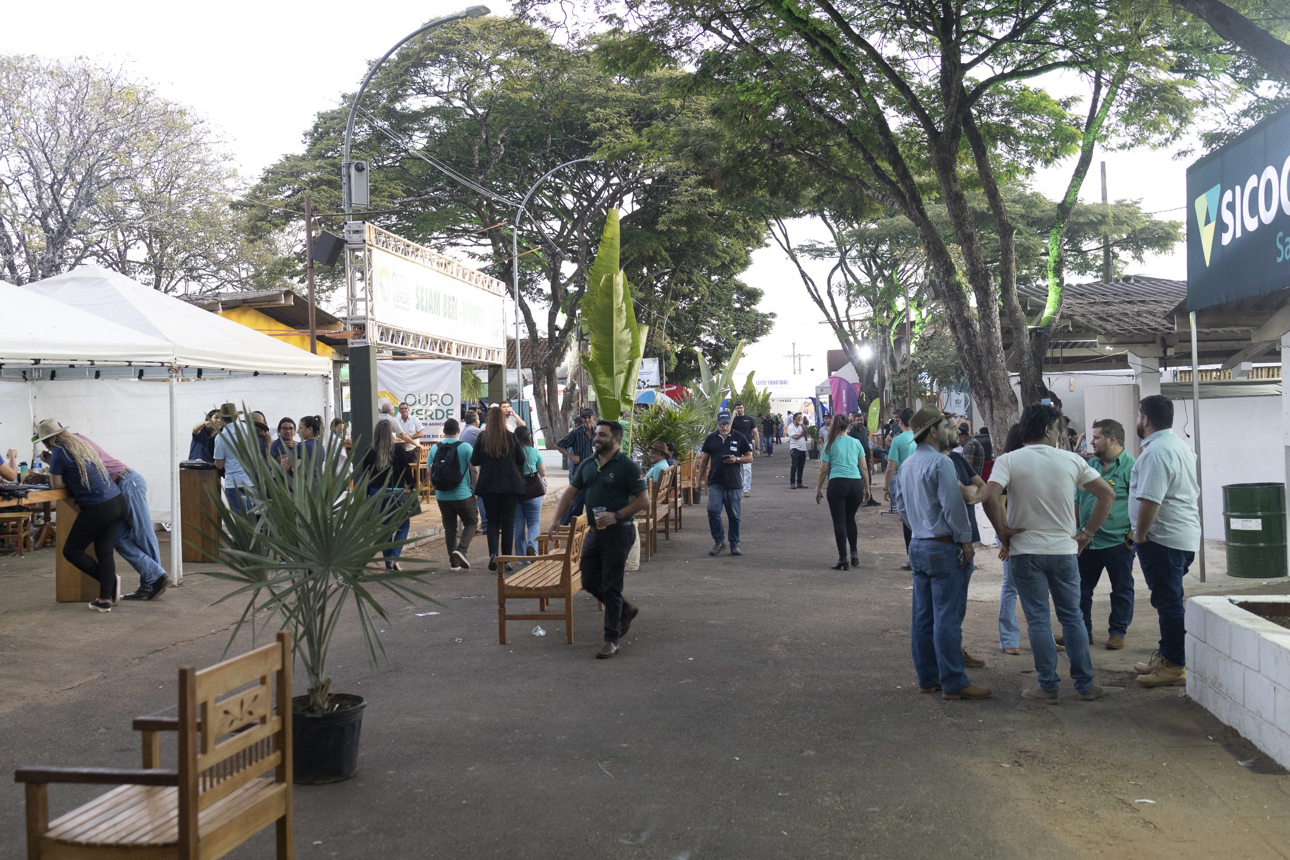 Evento será realizado de 25 a 28 de junho, em Passos, com expectativa de quebra de recordes no torneio leiteiro / Foto: Reprodução 