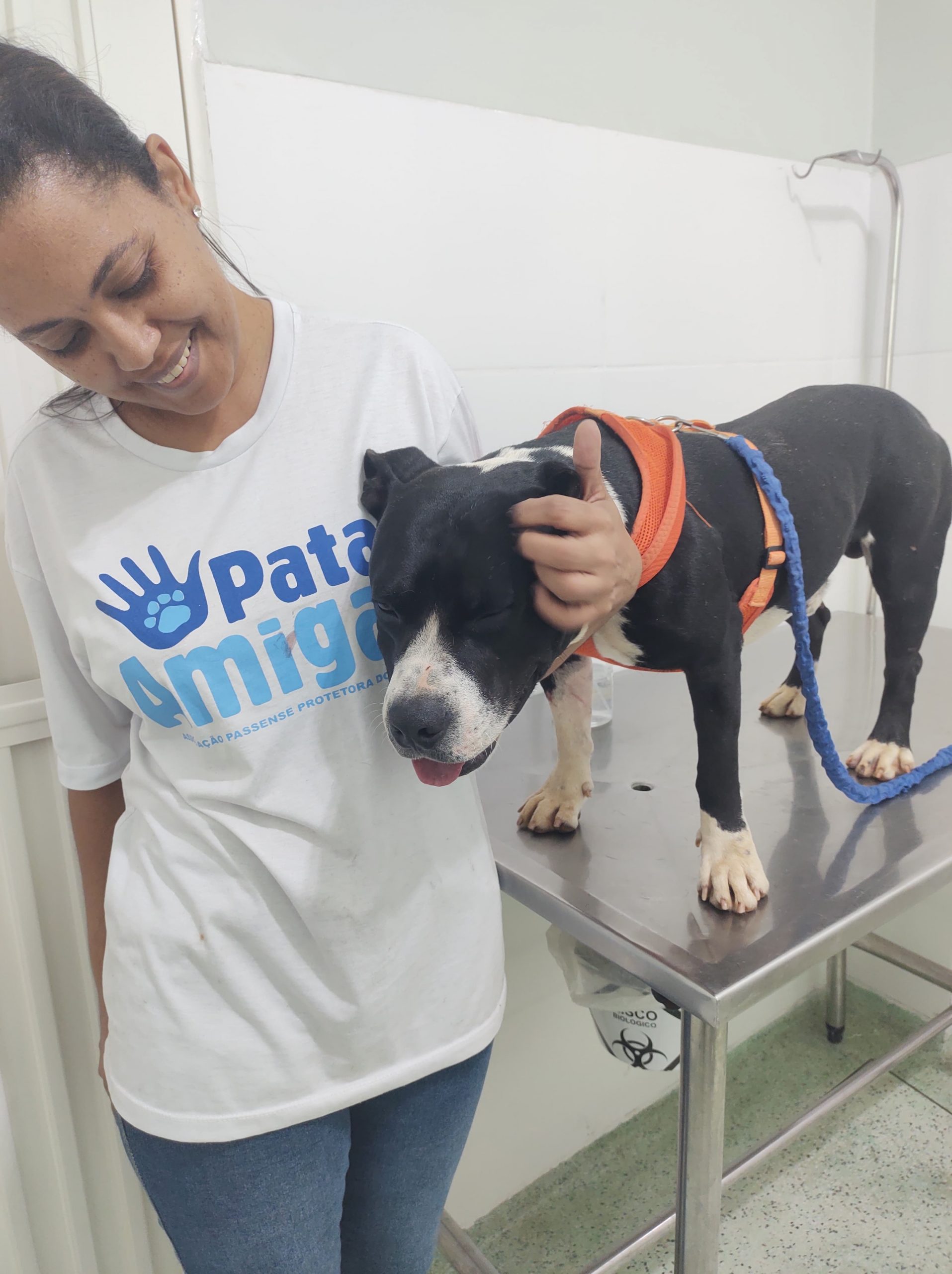 Negão passa por avaliação veterinária após ser resgatado na zona rural e acolhido pela ONG Patas Amigas / Foto: Divulgação/ ONG Patas Amigas