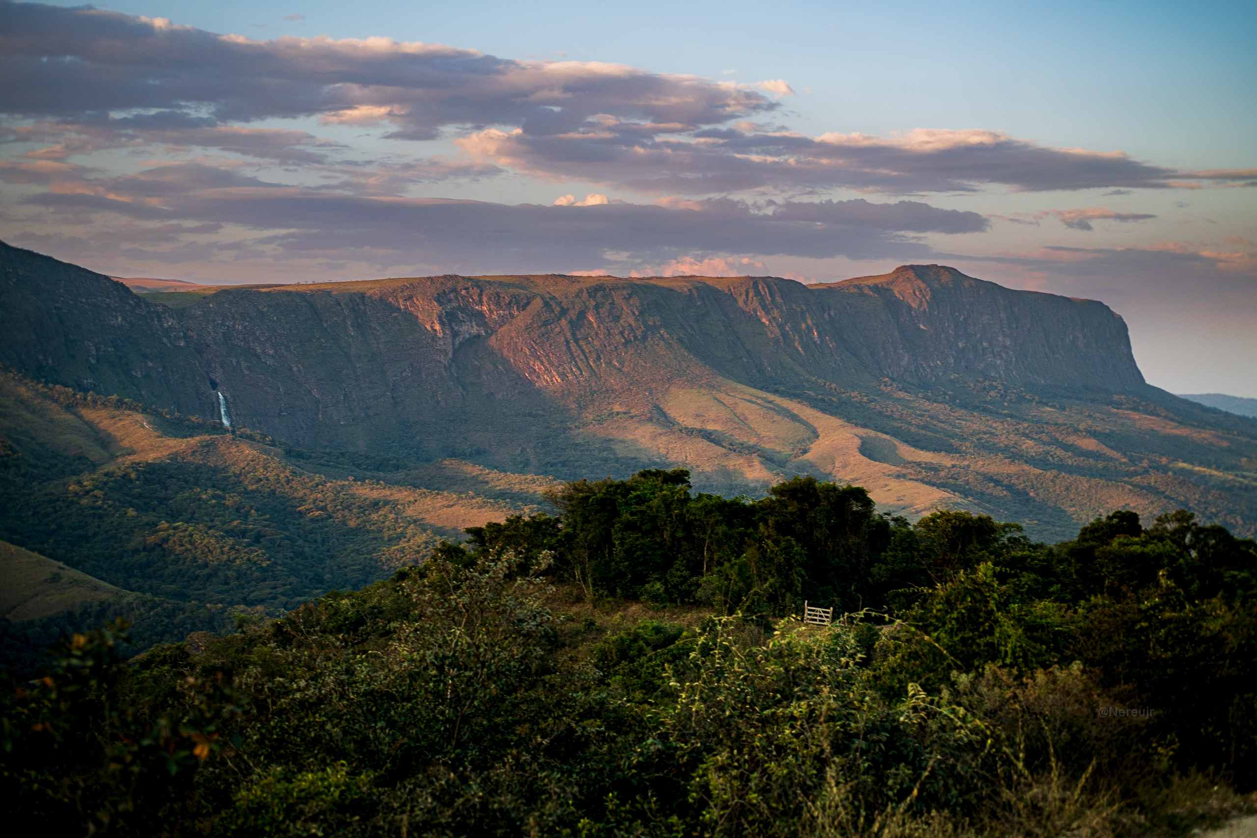 Foto: Divulgação/Nereu Jr.