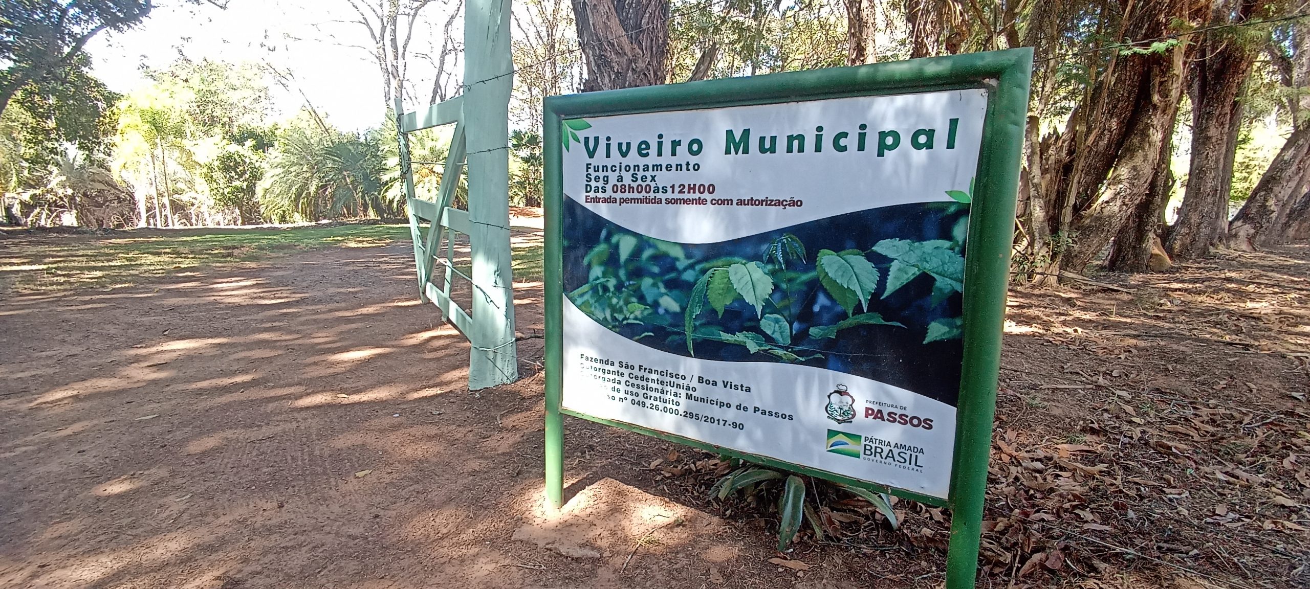 Viveiro Municipal de Passos, onde são produzidas e distribuídas gratuitamente as mudas do projeto de arborização urbana e rural / Foto: Fernando Chaves